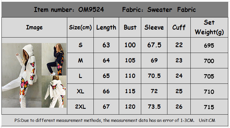 Butterfly Print Hooded Casual Sweatshirt Set For Women CD604