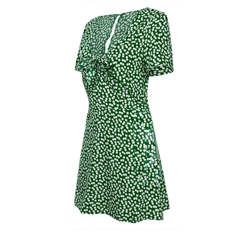 Short Sleeve V-neck Print Sexy Dress CD365