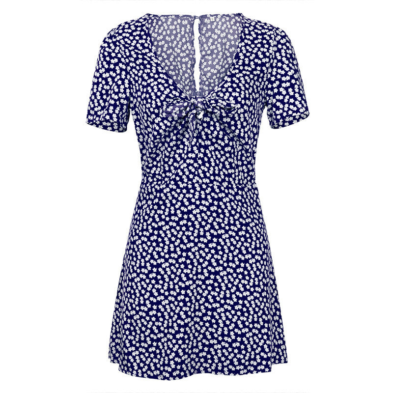 Short Sleeve V-neck Print Sexy Dress CD365