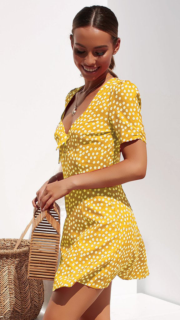 Short Sleeve V-neck Print Sexy Dress CD365