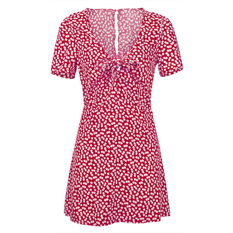 Short Sleeve V-neck Print Sexy Dress CD365