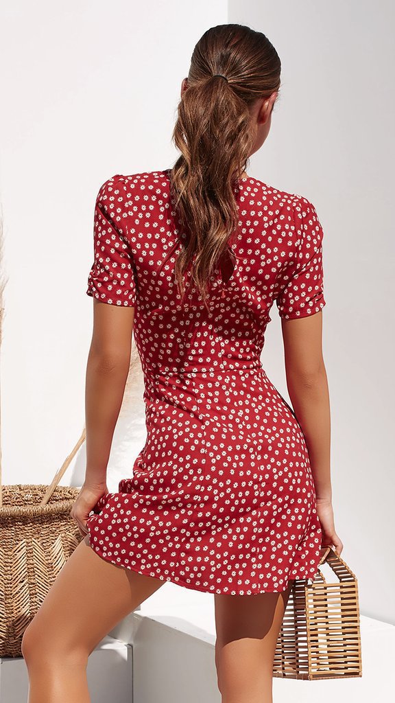 Short Sleeve V-neck Print Sexy Dress CD365