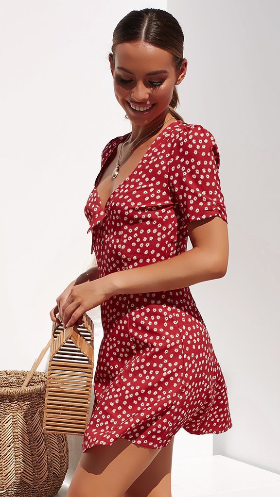 Short Sleeve V-neck Print Sexy Dress CD365